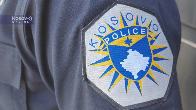 Monitoring rada policije